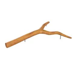 Ствол дерева «Бруно»