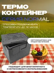 Термоконтейнер TERMOBOX Бытовой Normal, 14 л, 400х300х220 мм, 40кг/м3