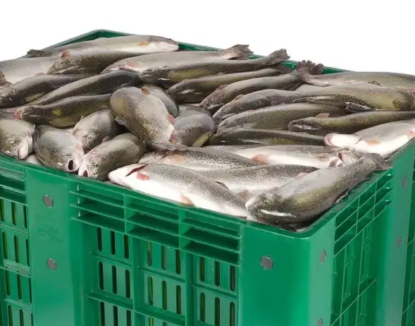 Ящик-поддон пластиковый 1200x1000x915