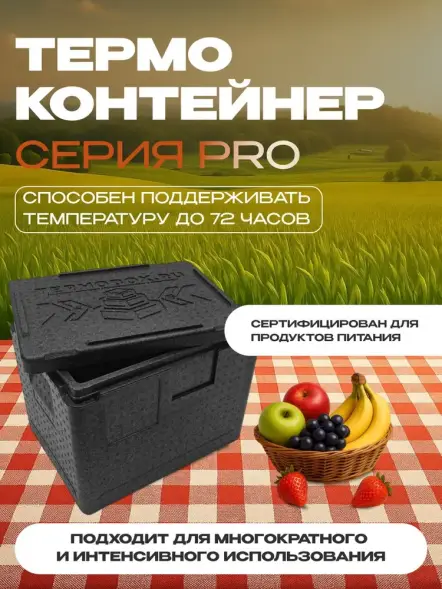 Термоконтейнер TERMOBOX Экстрим PRO, 22 л, 400х300х320 мм, 55кг/м3