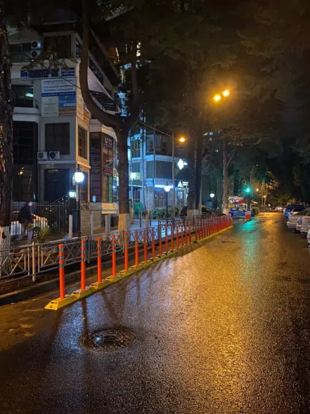 Делиниатор дорожный резиновый ДДР-610 со столбиком сигнальным упругим 380 мм